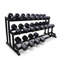 Kit de dumbell injetado monobloco de 12 á 30kg com suporte