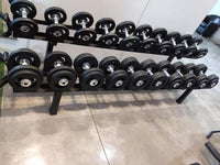 Kit dumbell injetado injetado 12 ao 30KG + Suporte
