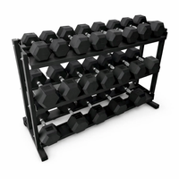Kit de dumbell injetado hexagonal de 12 a 30kg com suporte