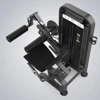 Flexora e extensora conjugada 80kg importada