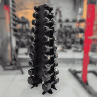 Kit halter emborrachado sextavado  01Kg a 10Kg com suporte