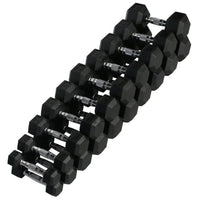 Kit halter injetado sextavado 01 a 10kg com suporte